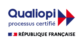 logo footer